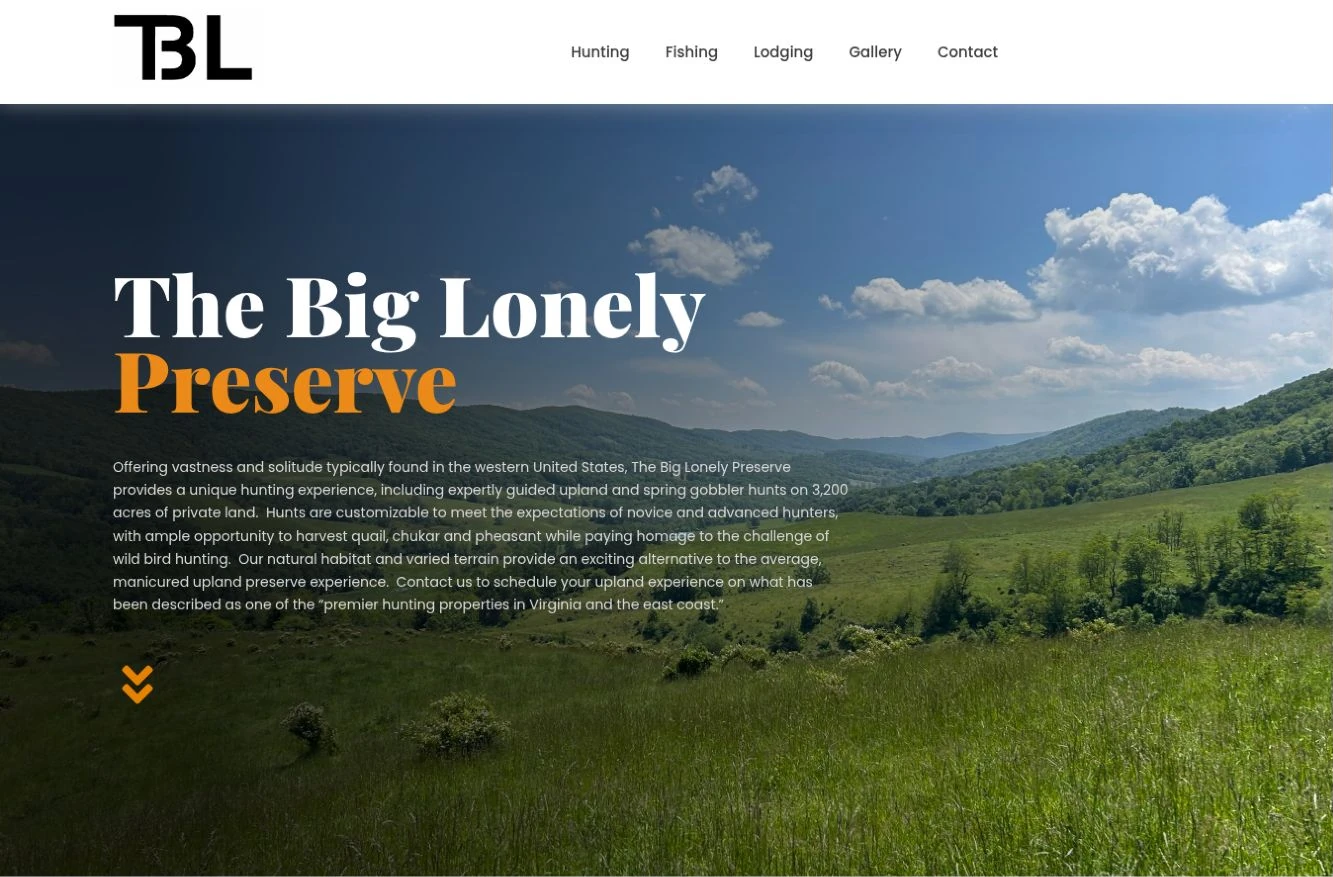 The Big Lonely website, with mountain scenery and a bold editorial headline